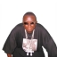 vjslim