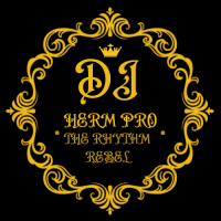 DJ HERM PRO